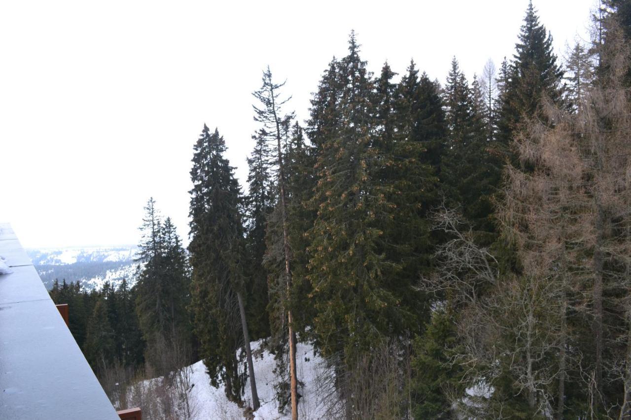 Panorama Apartmany Štrbské Pleso Esterno foto